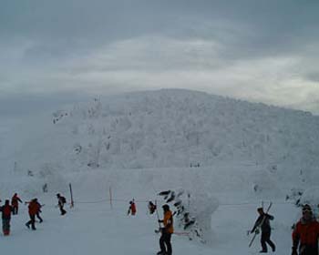 DSCF0085
